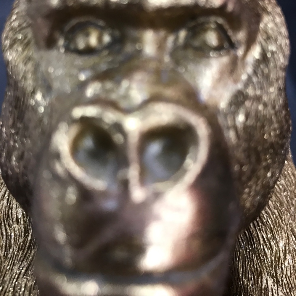 Meet your Posher, Gil